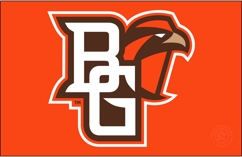 Bowling Green Falcons 2007-2011 Primary Dark Logo diy iron on heat transfer